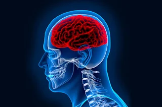 Neurologist in Barisal