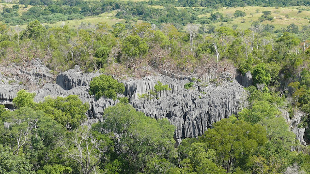 Tsingy de Bemaraha National Park