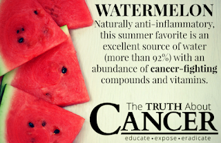 Watermelon Fruit Contains Substances That Can Prevent Cancer