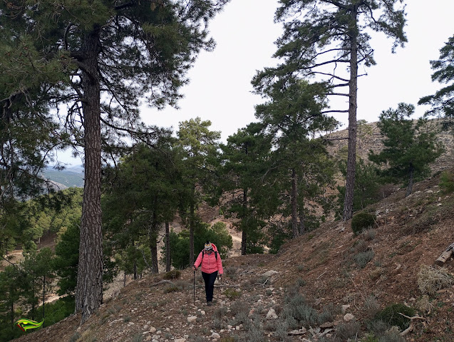 Subida circular al Caballo Torraso (1726 m) en la Sierra de Las Villas