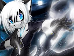 antonio the cat