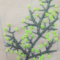 broderie, defibroderiegreen, embroidery