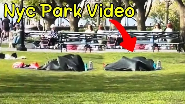 nyc park couple under blanket