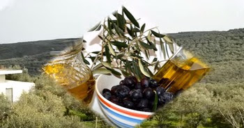 Почему оливковое масло горчит