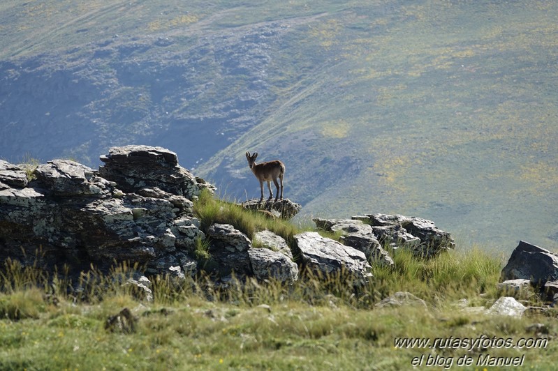 Subida al Caballo desde Peña Caballera