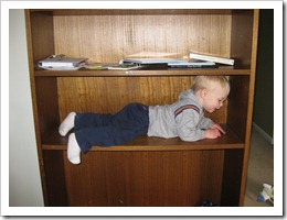 IMG_1860 IMG_1860