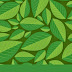 BASES DE DATOS NOSQL. MONGODB [VIDEO2BRIAN]