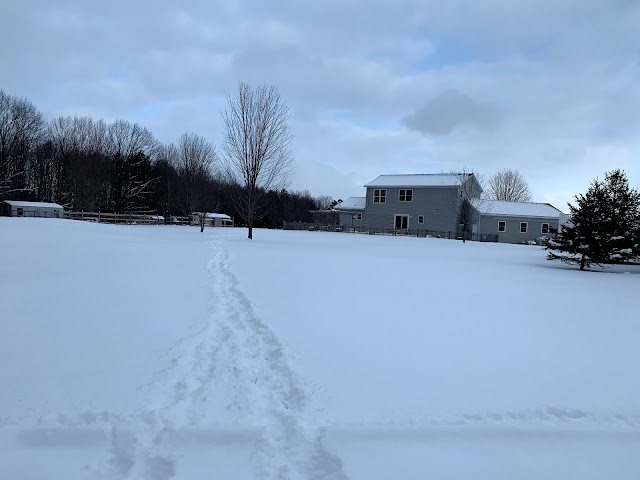 Ruple Farms - Playing in Snow