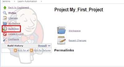 Jenkins with selenium