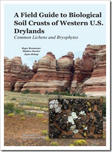 Biological Soil Crusts Cover