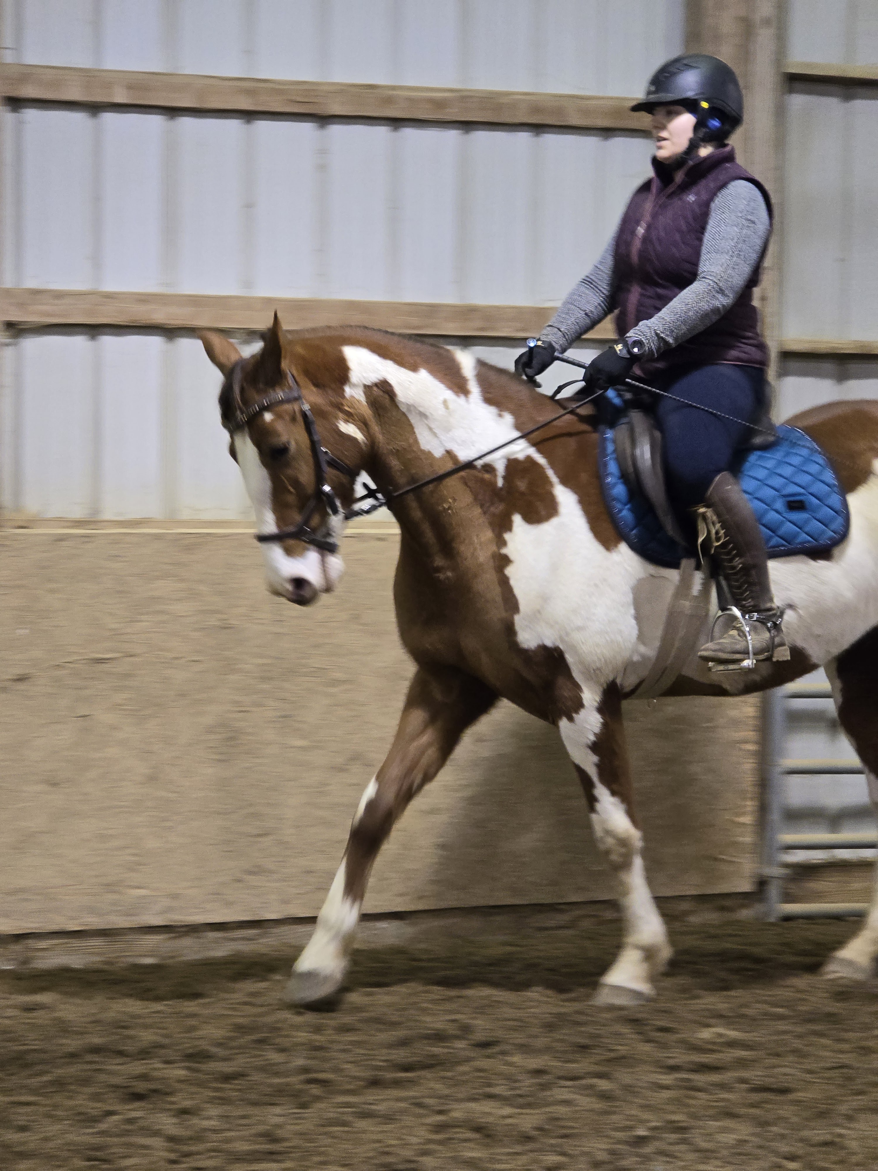 Dressage Warm Up Leggings – Asmar Equestrian