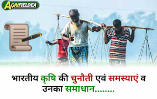 Major problems of Indian Agriculture and Farmers