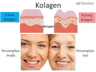 Collagen powder