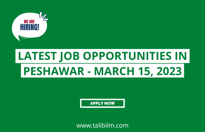 Latest Job Opportunities in Peshawar - March 15, 2023