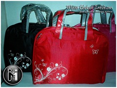 Tas Notebook P1010742