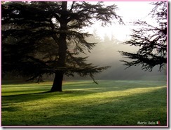 AUTUNNO_05