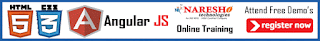 Angular JS Online Training