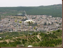 Druz Village