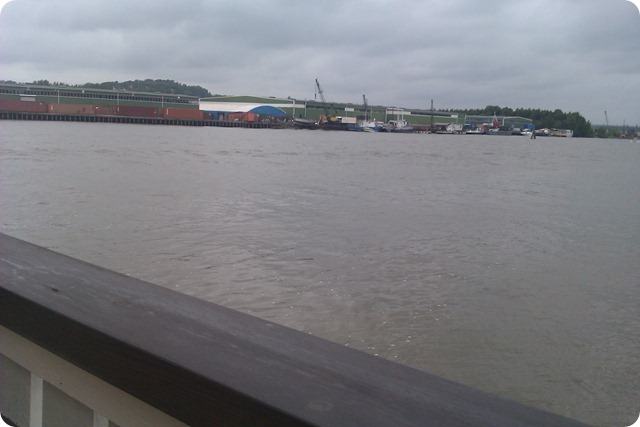IMAG0645