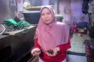 Amartha UMKM achieves turnover of IDR 100 million per month from worm farming business