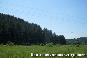 Вид з паломницької зупинки в с.Страдч