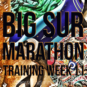 Big Sur Marathon Training Week 11