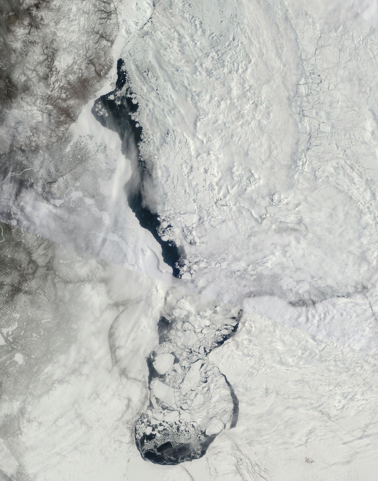 http://map2.vis.earthdata.nasa.gov/imagegen/index.php?TIME=2014132&extent=-2473280,-696704,-1654080,343680&epsg=3413&layers=MODIS_Terra_CorrectedReflectance_TrueColor&format=image/jpeg&width=1600&height=2032