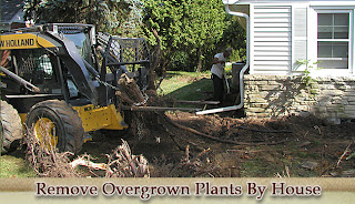 Integrity workers removing overgrown plants