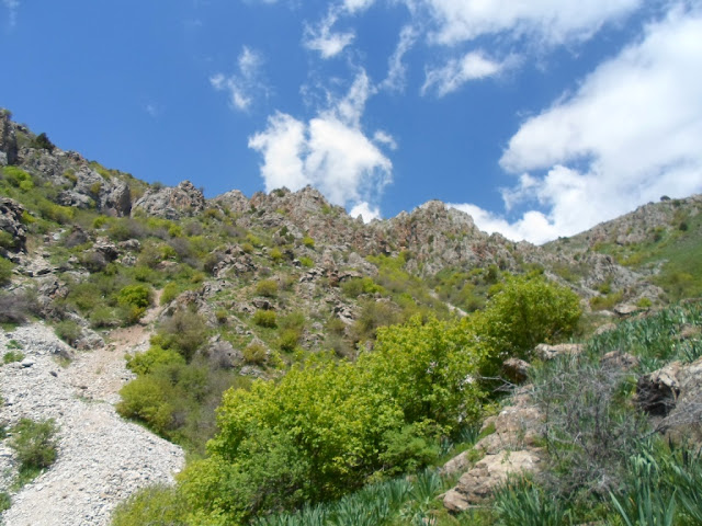 Ущелье и хребет Харангони, 1 день похода, Варзоб, горы Таджикистана