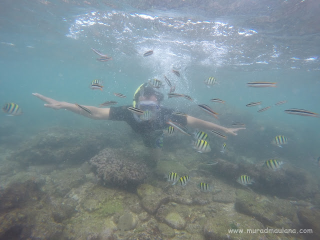 Saya Snorkeling di Pantai Nglambor 3