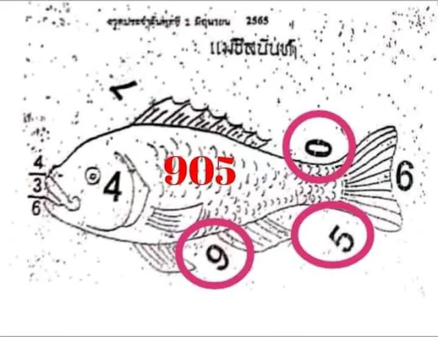 Thailand Lottery 3UP direct number 16-04-2022 | Thailand Lottery 100% sure number  16 April 2022