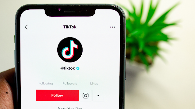 How Does the Number of Likes Affect Popularity in TikTok?