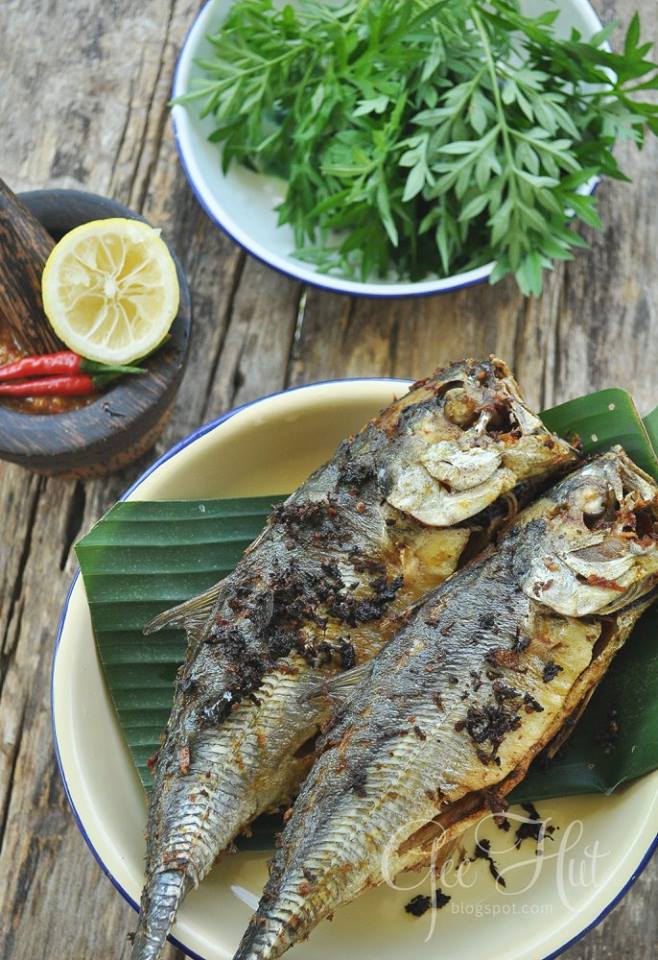 GeeHut: Ikan cencaru belah belakang