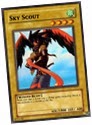 SkyScout