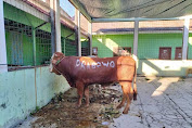 Prabowo Salurkan Puluhan Hewan Qurban ke Ponpes-ponpes dan Ormas Keagamaan di Jawa Barat