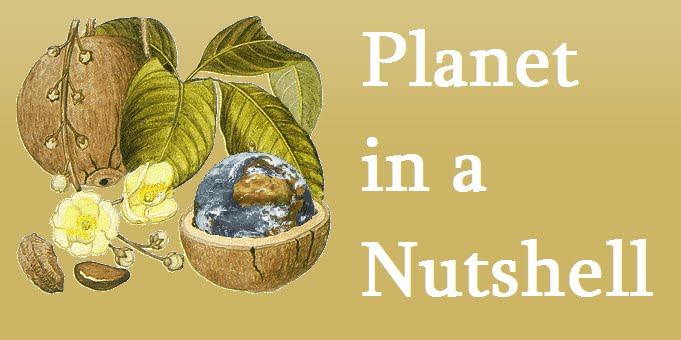 Planet in a Nutshell