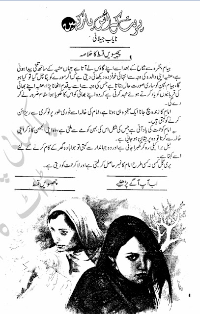 Parbat kay uss par kahen Episode 25 by Nayab Jelani pdf