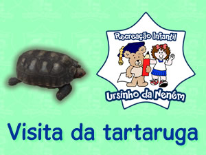 Visita da tartaruga na escola