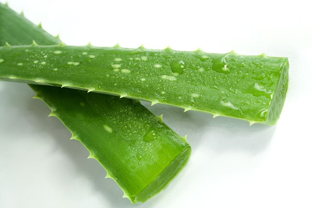 Aloe vera,Skin care at home,15 Easy DIY Skin Care Treatments for Glowing, Healthy Skin