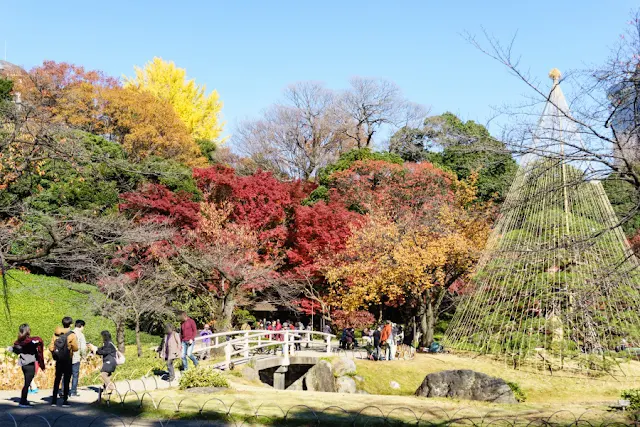 小石川後楽園（東京都文京区）の紅葉と雪吊り