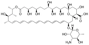 Structure of Amphotericin B