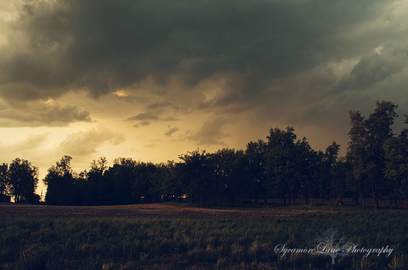 SycamoreLane Photography- storm