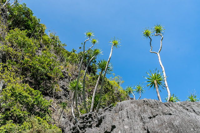 Small-Lagoon-Miniloc-Archipel-de-Bacuit-Palawan-Philippines