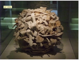 National Museum of Scotland in Edinburg