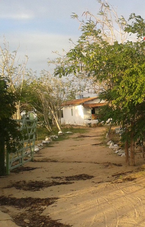 Casal passa momentos de terror nas mãos de assaltantes no município de Nova Palmeira