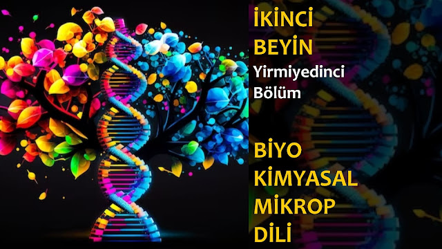 Biyokimyasal Mikrop Dili / İkinci Beyin Sesli Kitap 27