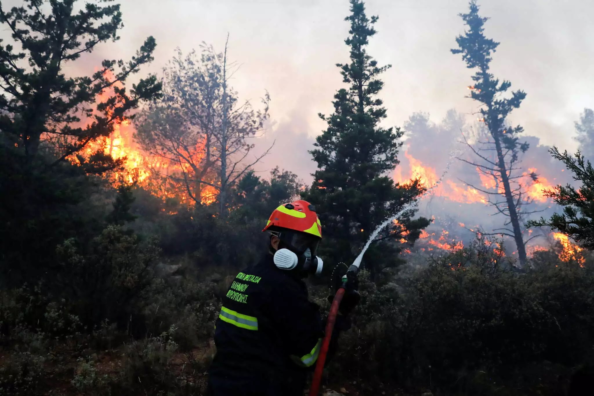 Φωτιά στο Σουφλί σε αγροτοδασική έκταση