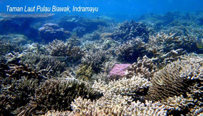 Taman Laut Pulau Biawak