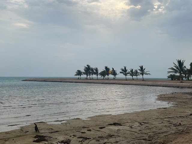 شاطئ باراكودا ينبع