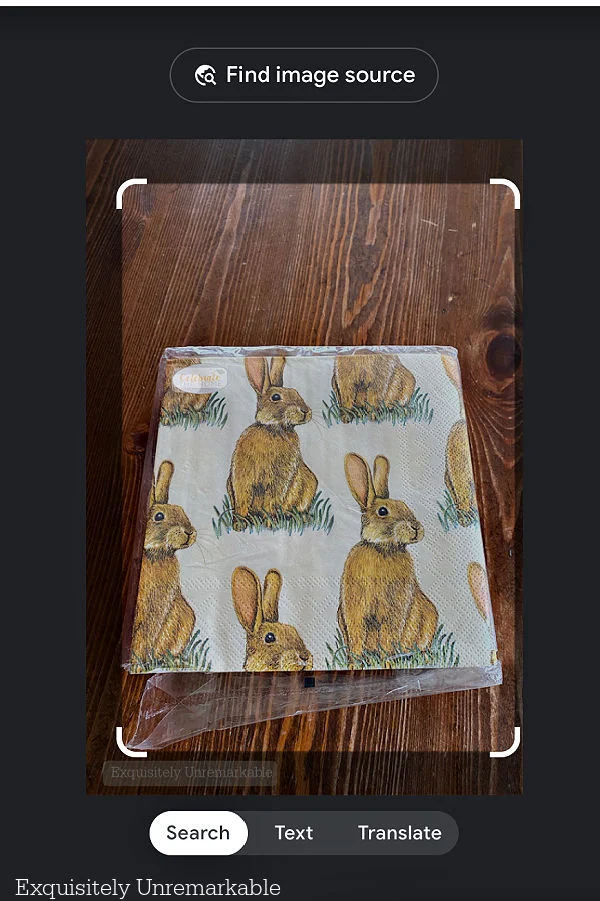 Google screenshot Image Search Of Bunny Napkins